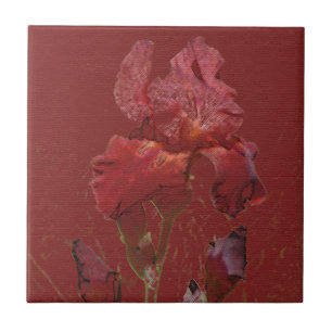 Burgundy Red Iris Garden Flower Tile