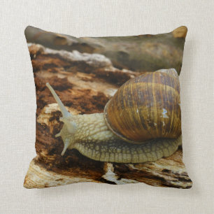 Burgundy Roman Edible Snail Helix Pomatia Cushion