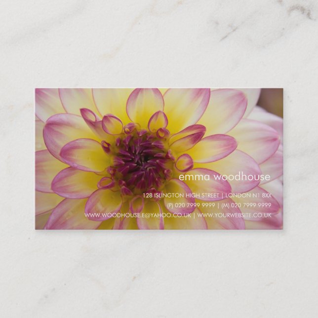 Burgundy, Yellow & White Dahlia Business Card (Front)