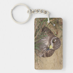 Burhinus oedicnemus key ring