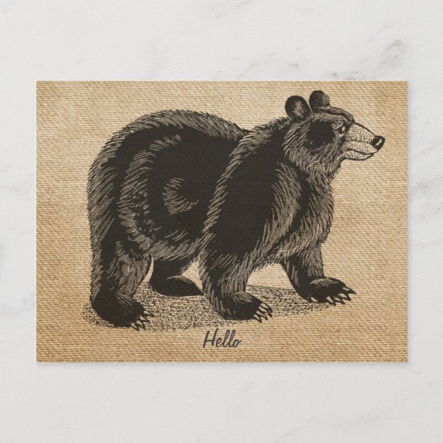 Burlap Vintage hello Bear Postcard (Front)
