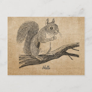 Burlap Vintage Squirrel Postcard