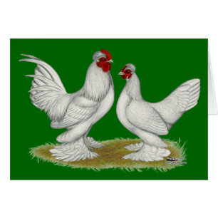 Burmese Bantams