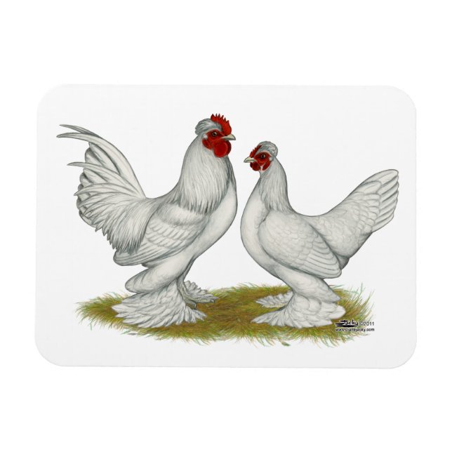 Burmese Bantams Magnet (Horizontal)
