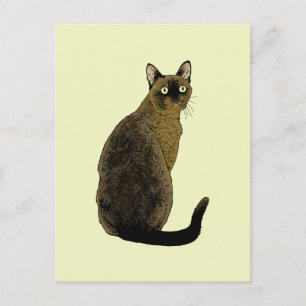 Burmese Cat Postcard