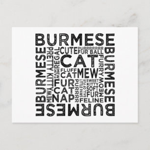 Burmese Cat Typography Postcard