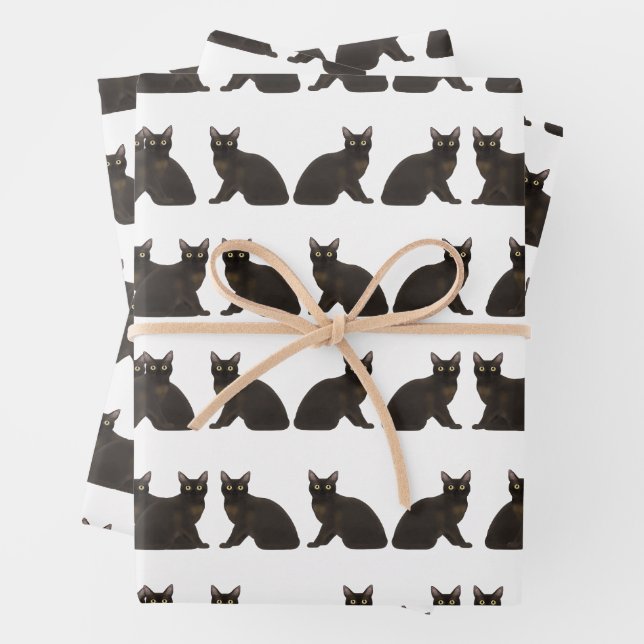 Burmese Cat Wrapping Paper Sheets (In situ)