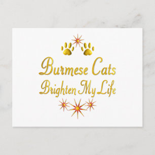 Burmese Cats Brighten My Life Postcard