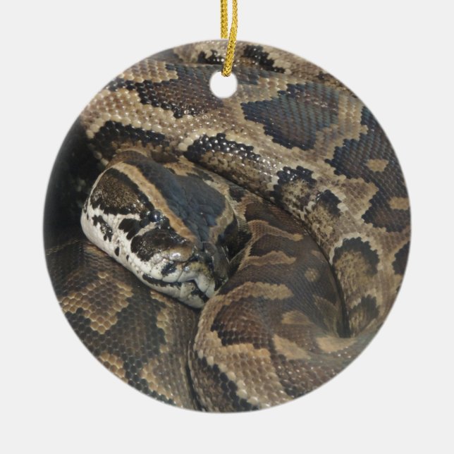 Burmese Python Ceramic Ornament (Front)