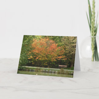 Burnaby's Central Park - Autumn colours Card