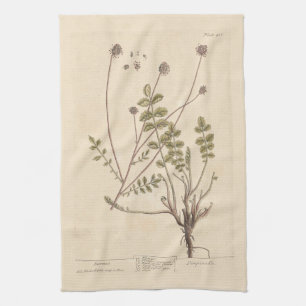 Burnet by Elizabeth Blackwell Tea Towel