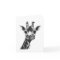 Burney the Giraffe
