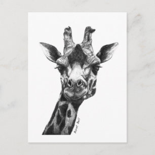 Burney the Giraffe Postcard