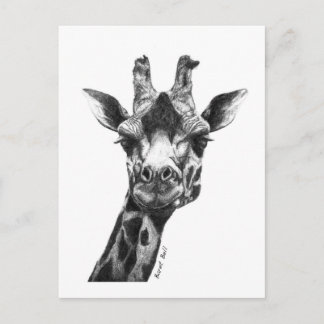 Burney the Giraffe Postcard