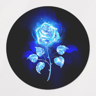 Burning Blue Rose