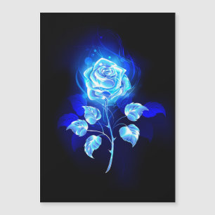 Burning Blue Rose