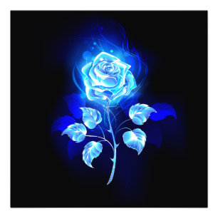 Burning Blue Rose Photo Print