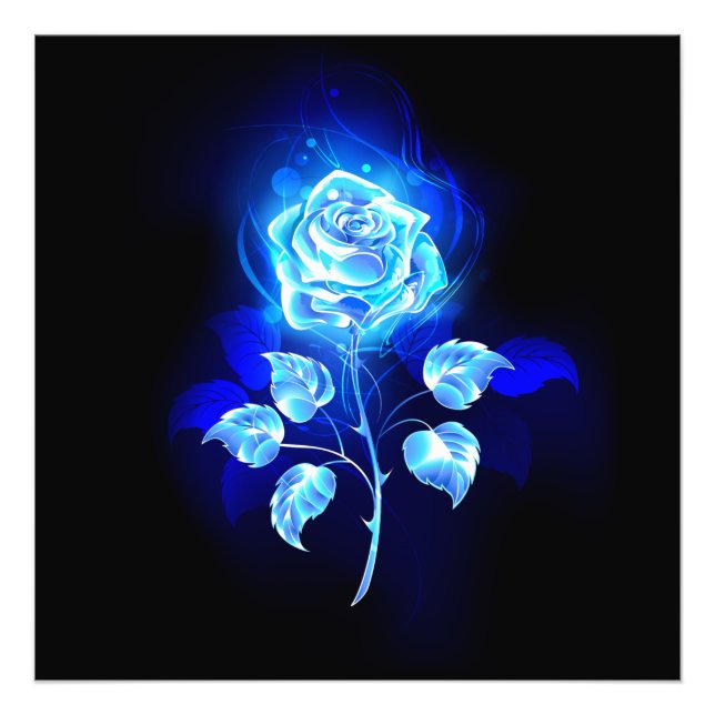 Burning Blue Rose Photo Print (Front)