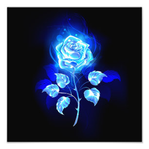 Burning Blue Rose Photo Print