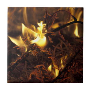 Burning Branches Ceramic Tile