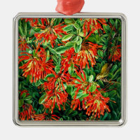 Burning Bush and Emu Wren of Chile