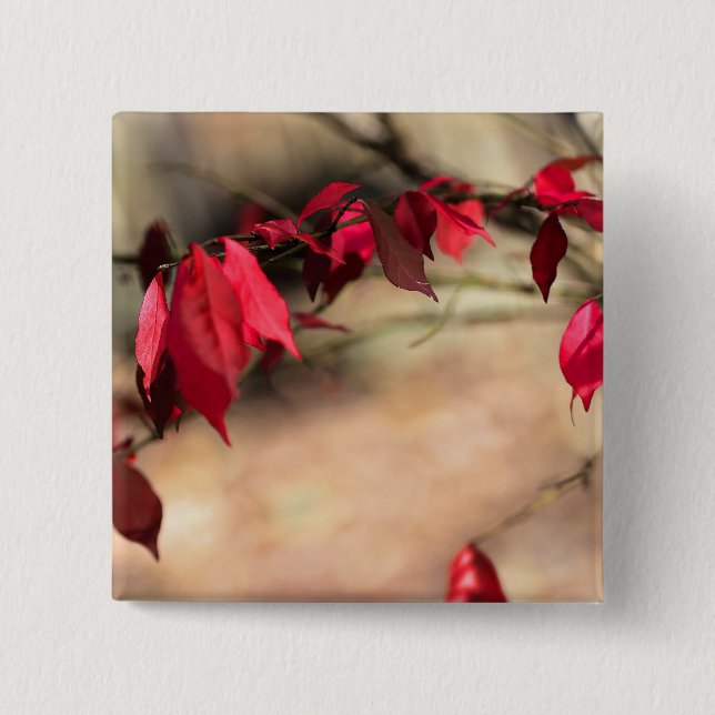 Burning Bush Autumn Foliage - Euonymus alatus 15 Cm Square Badge (Front)