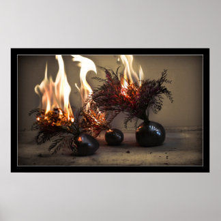 Burning Flowers Poster