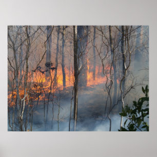 Burning Smoke Poster