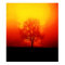 Burning Tree