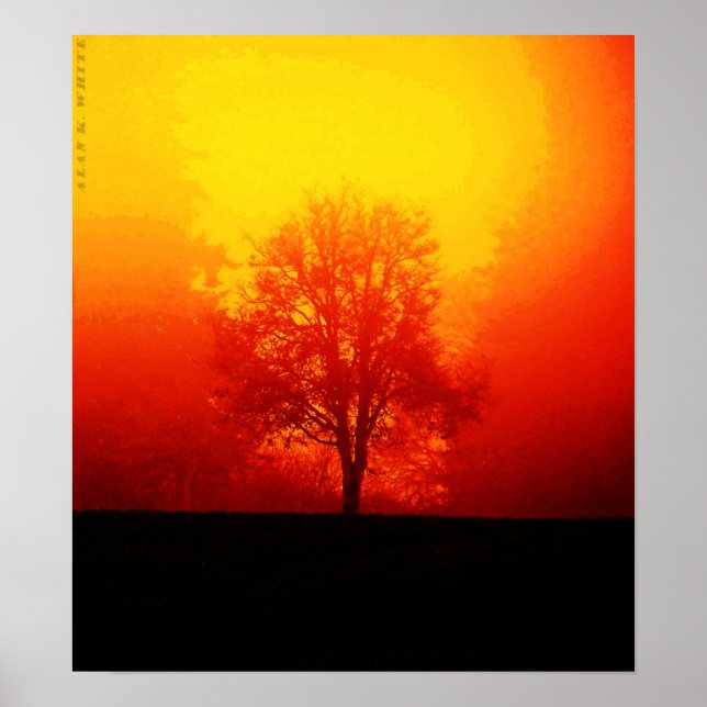 Burning Tree Poster (Front)