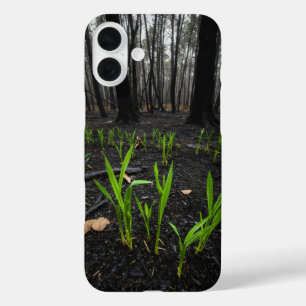 Burnt earth and green shoots emerging from trees iPhone 16 plus case