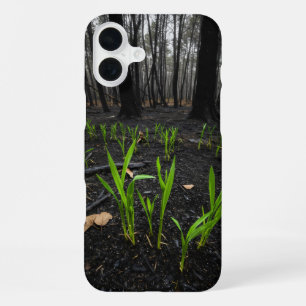 Burnt earth and green shoots emerging from trees iPhone 16 plus case