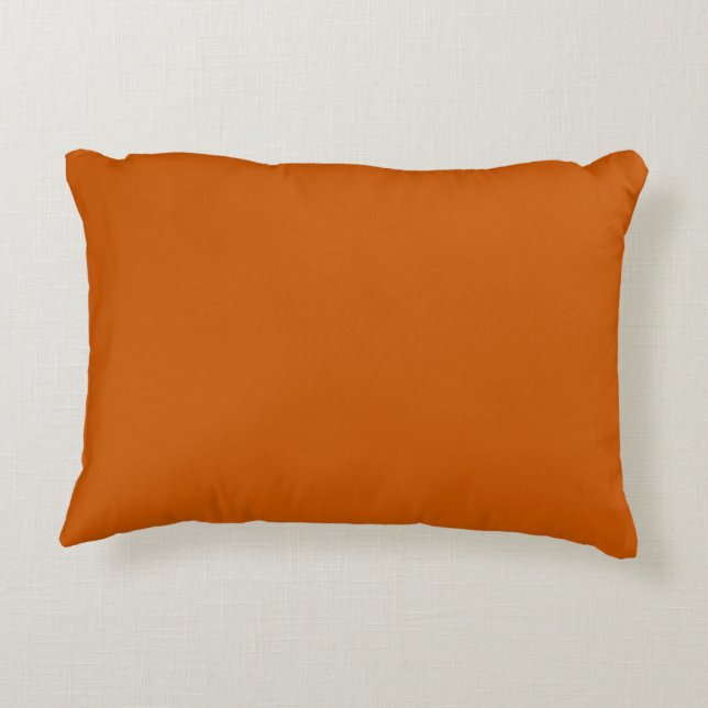 Burnt Orange Decorative Cushion (Back)