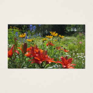 Burnt Orange Lilies Wild & Gloriosa Daisies