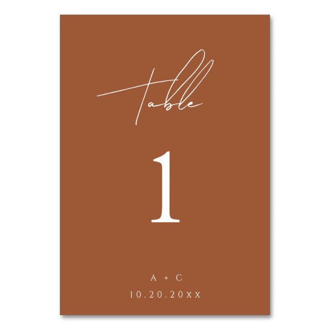 Burnt Orange Minimalist Modern Wedding Table Card (Front)