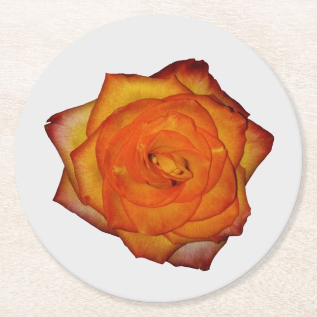 Burnt Orange Rose Paper Coaster (Front)