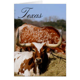 Burnt Orange Texas Longhorn Texas Blank Inside