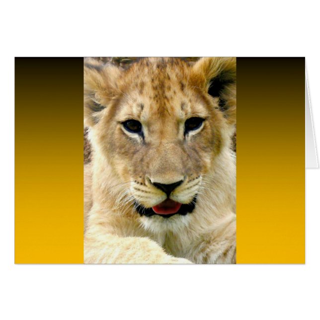 Burnt Orange Two Tone (Front Horizontal)