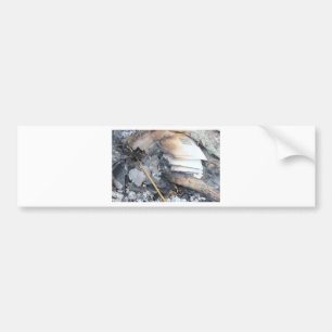 Burnt Papers Bumper Sticker