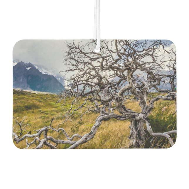 Burnt tree, Torres del Paine, Chile Car Air Freshener (Front)