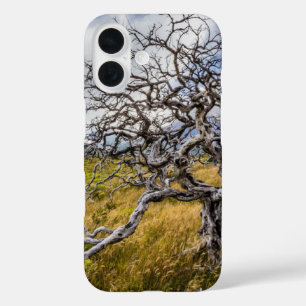 Burnt tree, Torres del Paine, Chile iPhone 16 Case