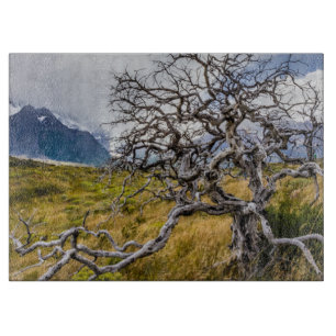 Burnt tree, Torres del Paine, Chile Cutting Board