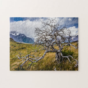 Burnt tree, Torres del Paine, Chile Jigsaw Puzzle