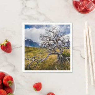 Burnt tree, Torres del Paine, Chile Napkin