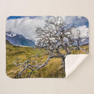 Burnt tree, Torres del Paine, Chile Sherpa Blanket