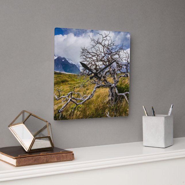 Burnt tree, Torres del Paine, Chile Square Wall Clock (Office)
