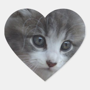 Burr Baby Heart Sticker