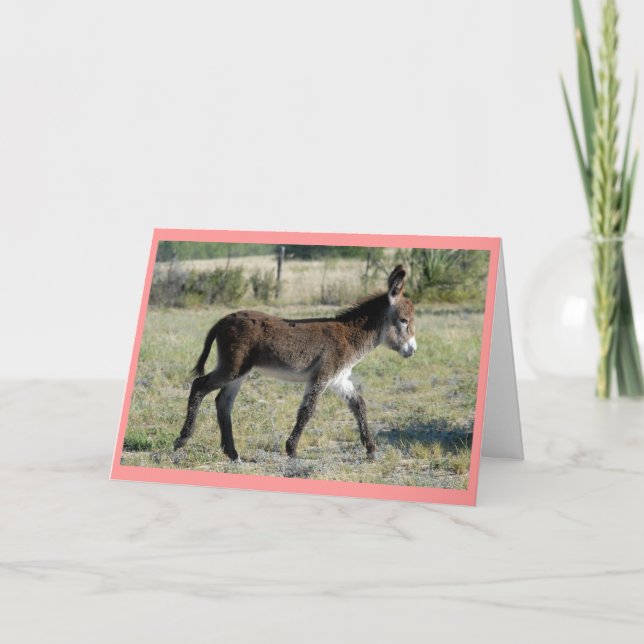 "Burrito Baby Card" Announcement (Front)