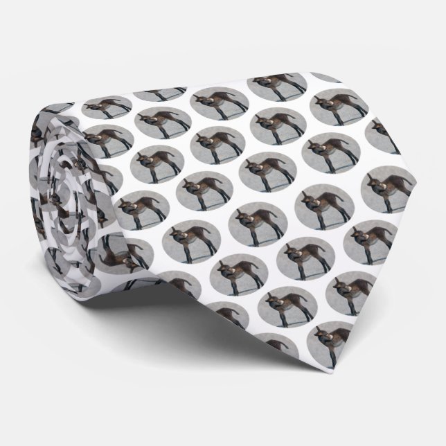 Burro Frenzy (Choose Colour) Tie (Rolled)