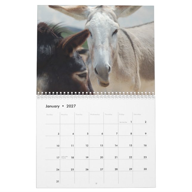 Burro & Horse Calendar (Jan 2027)